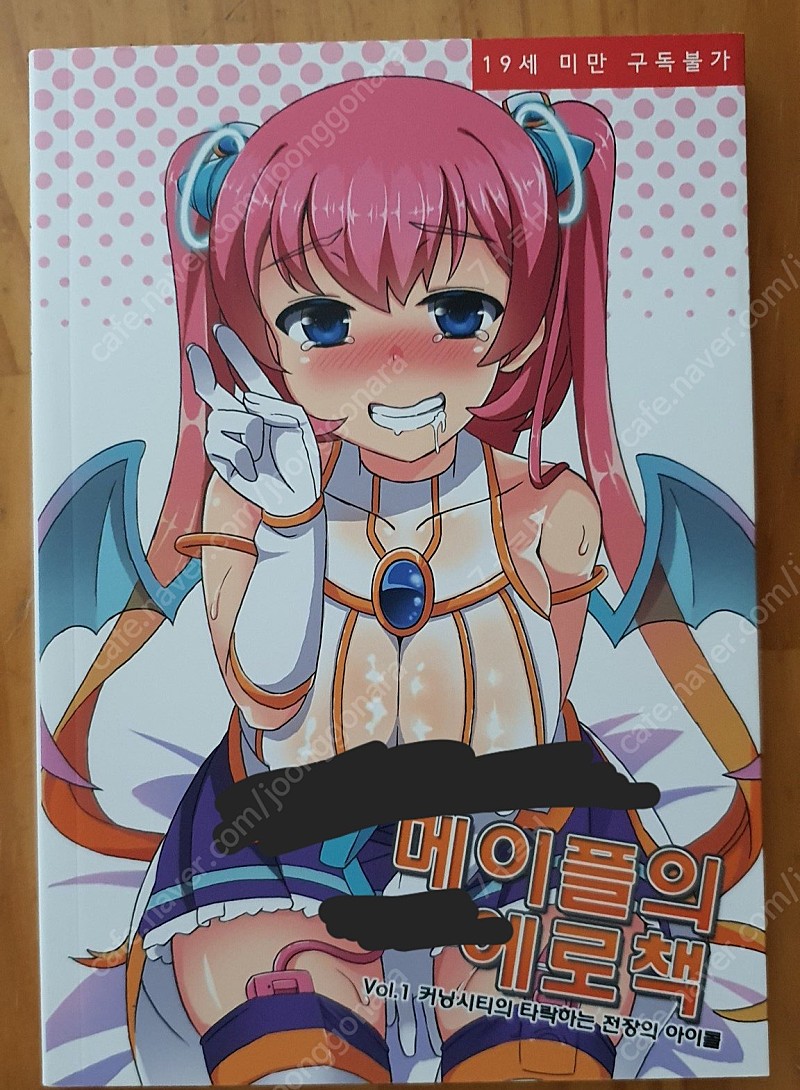 메이플 야짤  