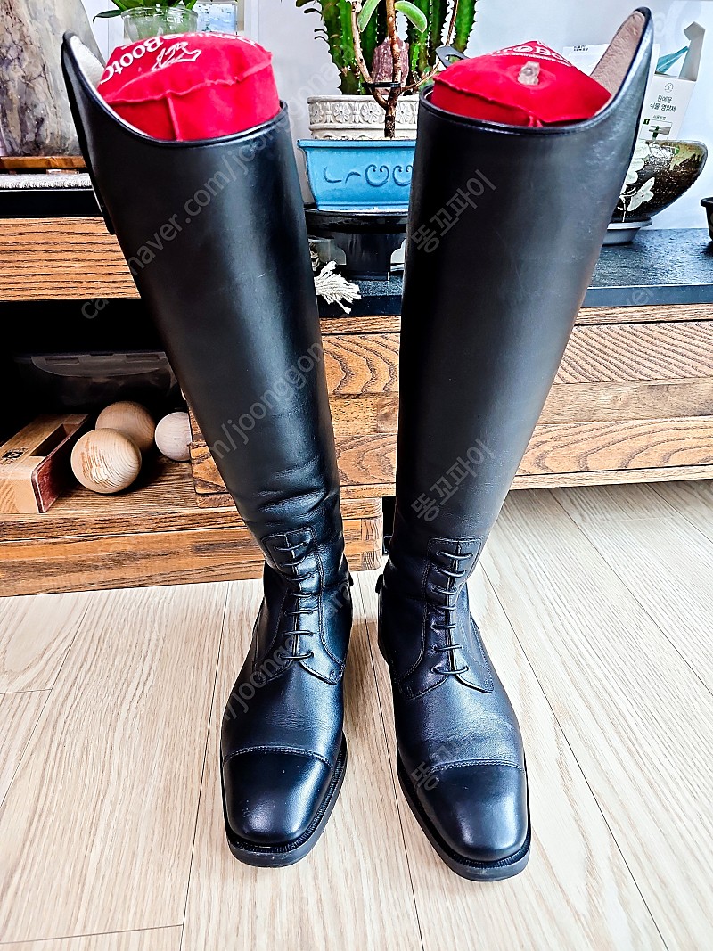 승마부츠(230) | 기타 스포츠 | 중고나라